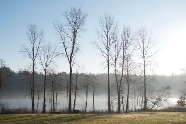 Deer Lake Park Photo