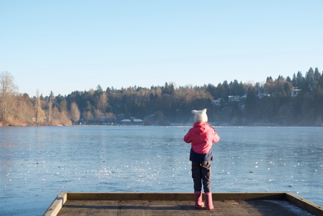 The dock on Deer Lake